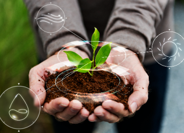 Opportunità di finanziamento per la transizione agricola sostenibile