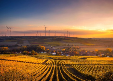 Giornata Mondiale dell'Ambiente: che ruolo svolgono le aziende?
