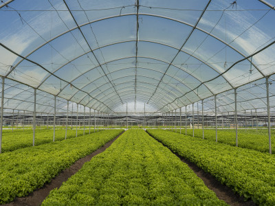 Finagricola has chosen Arxivar NEXT with the Microsoft Dynamics 365 Business Central ERP